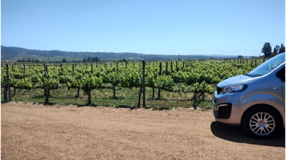 diseño sin título (18)